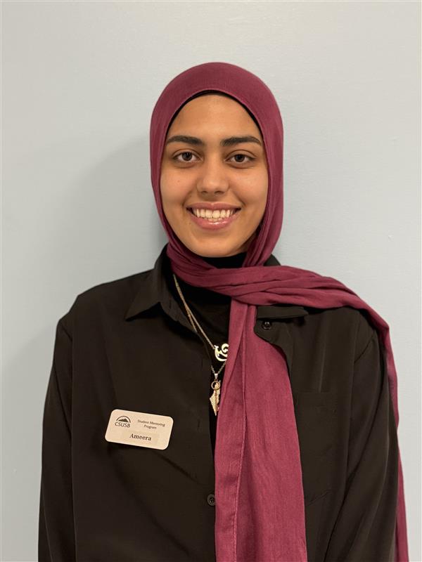 Ameera&nbsp; Hasan