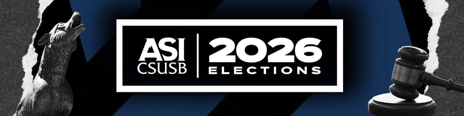 ASI electiond